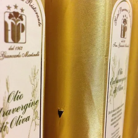 Panorama Ristorante ***s 토리델베나코